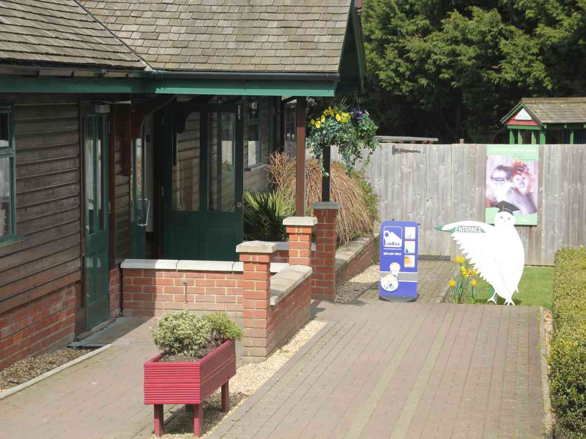 Monkey Haven visitor image